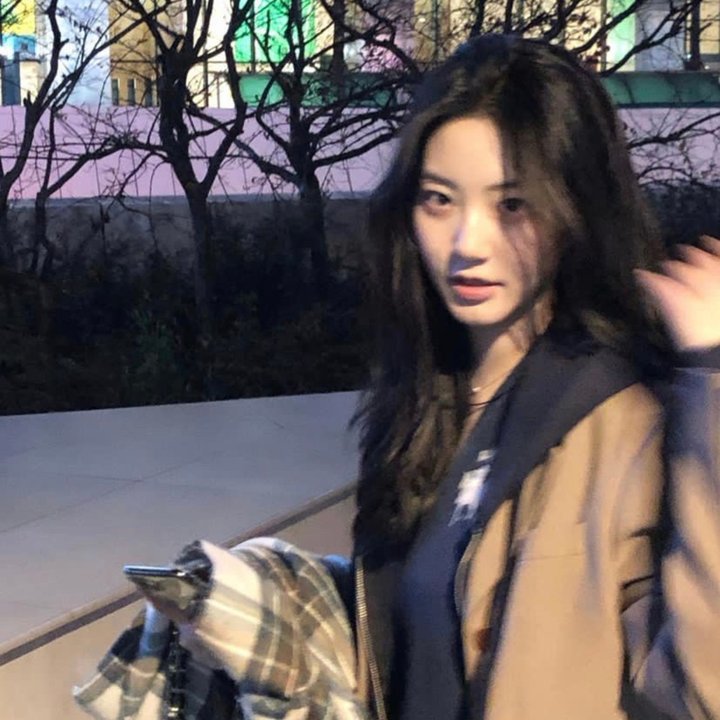 好莱坞骑士