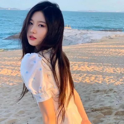 总统特务